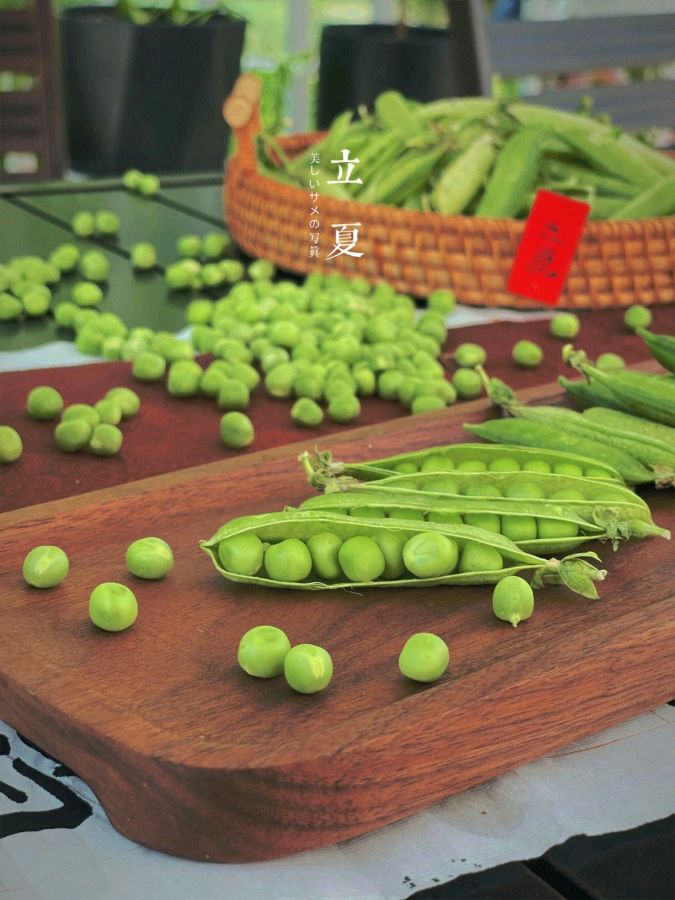 弘华朗诵【立夏】作者/姜太祥（图5）