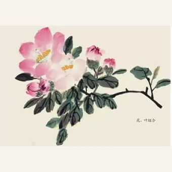 崔淑清《咏花》系列诗词联(之六)‖巴彦诗协诗词联卷【532】(图6)