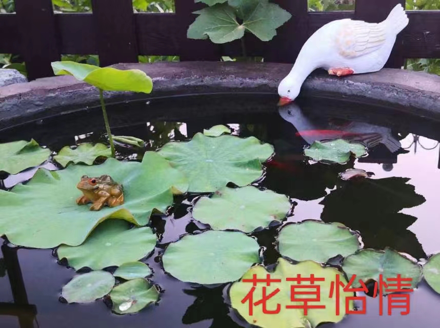 董文超《为朋友照片题诗》系列诗词联(之七)‖巴彦诗协诗词联卷【533】(图6)