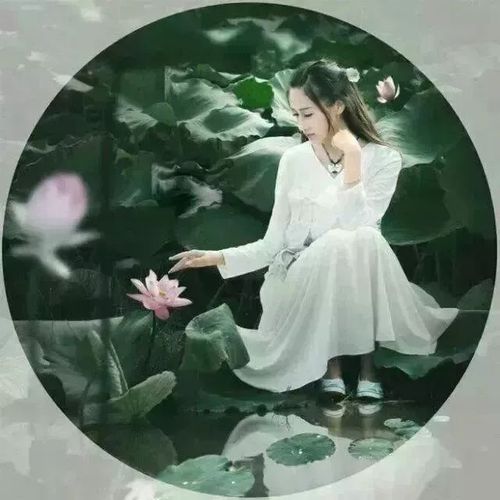 请欣赏作家:碑林路人佳作《如莲》主播:室静兰香 天高云淡 娄华 陈欣 文诵精彩纷呈！（图8）