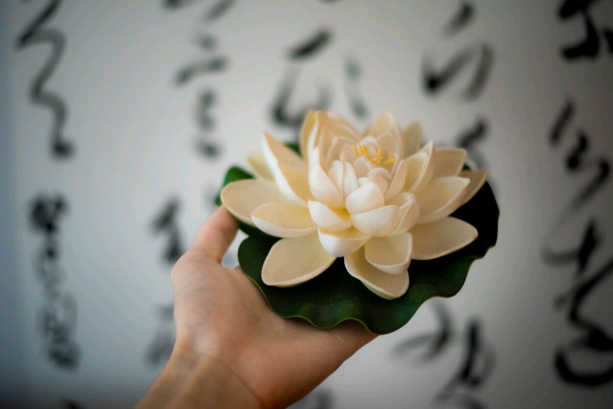 请欣赏作家:碑林路人佳作《如莲》主播:室静兰香 天高云淡 娄华 陈欣 文诵精彩纷呈！（图10）