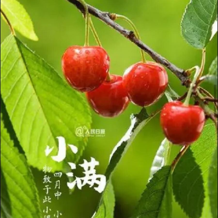 《九江文学社》《名家专刊》《杨成贵老领导近期美文集萃欣赏》【总第1630期】(图14)