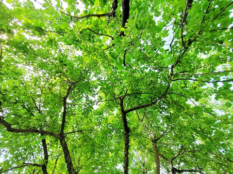 【神州源流诗苑】第953期优秀近体诗《都市头条》周刊(图10)