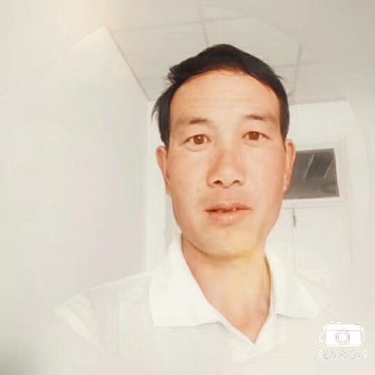 【新诗大观】去拜城||文/木子李（甘肃）（图2）
