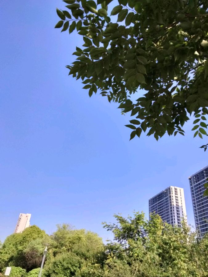 题图 作者：许先杰 京津沪头条