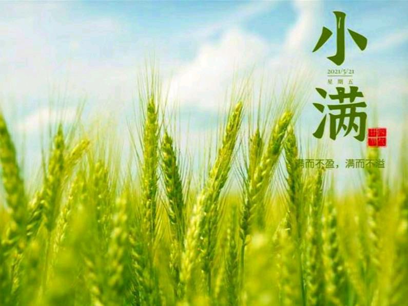 赏牡丹（外三首）作者 王建洲（甘肃）【冰心文化传媒】（图5）
