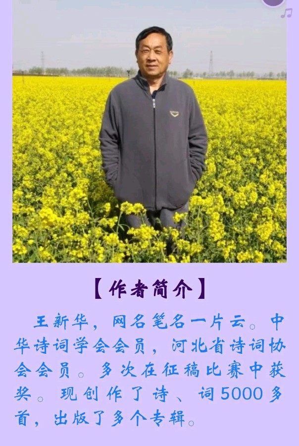 【追梦文学】《五绝八首》作者 王新华（2023047期）（图2）