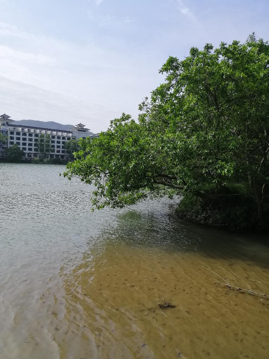 七律 江水别（三首）文／江冲（图7）