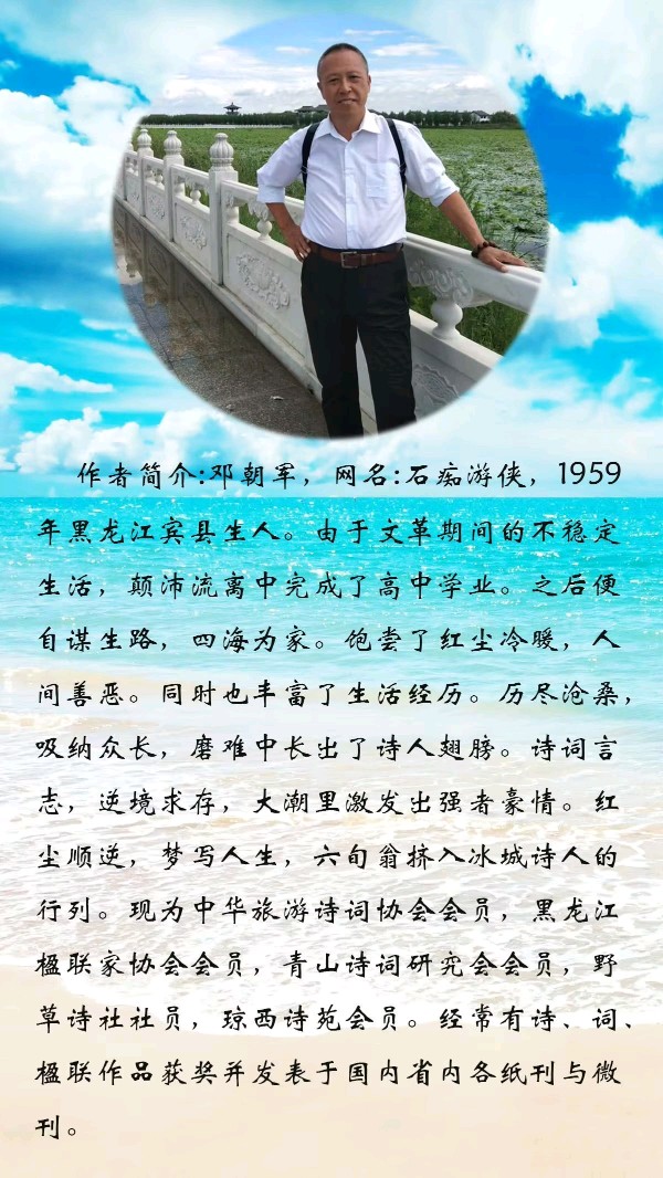 中华诗艺黑龙江分社●微刊第95期(图16)