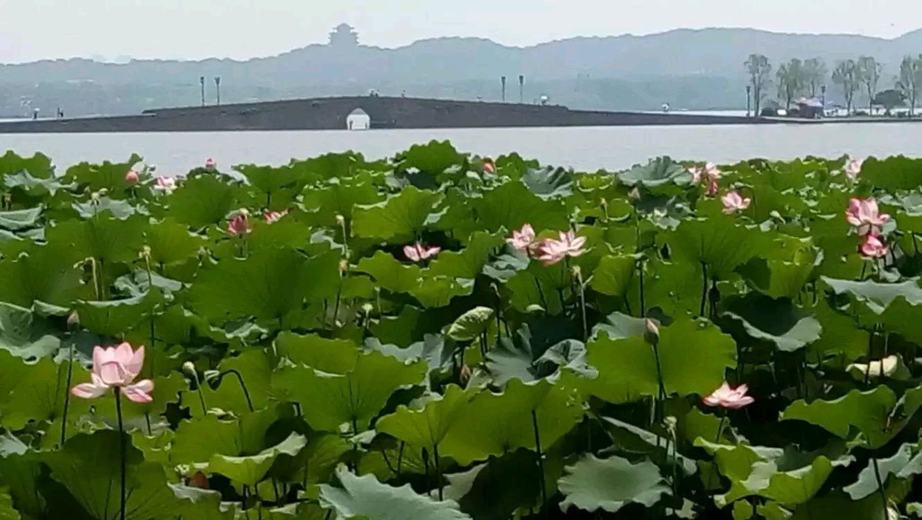 中央公园西园 原作/梁立锋（图6）