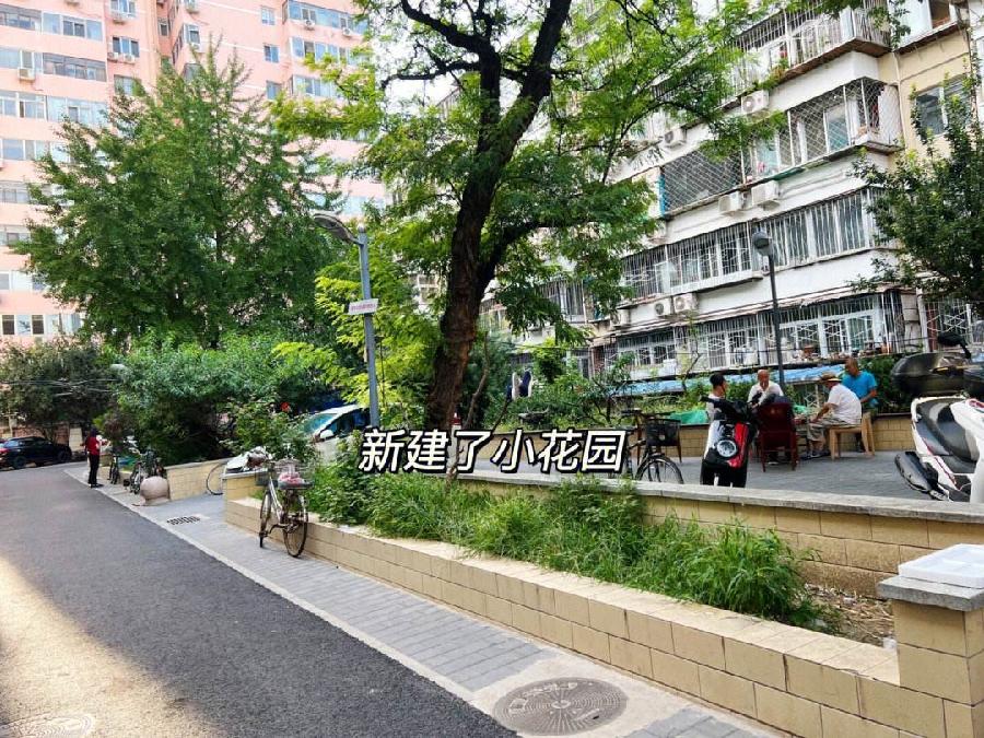 【新诗大观】寻常百姓的闲情趣事||文/张道发