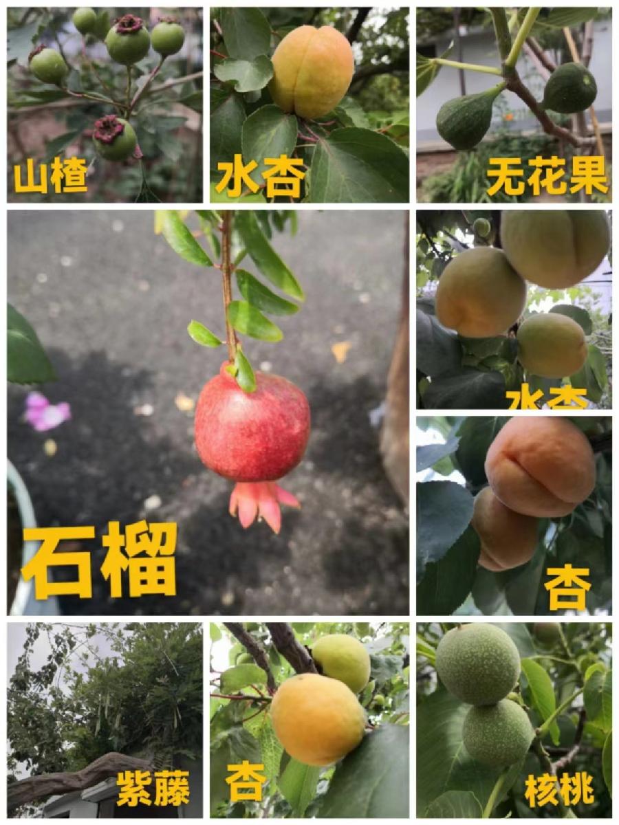 《九江文学社:北京头条》《世界名家》著名艺术家沈志昂先生作品集萃【总第1640期】(图6)