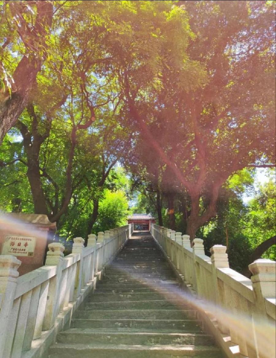 【经典推荐】曾培方//咏摄影爱好者｛外一首｝（图6）