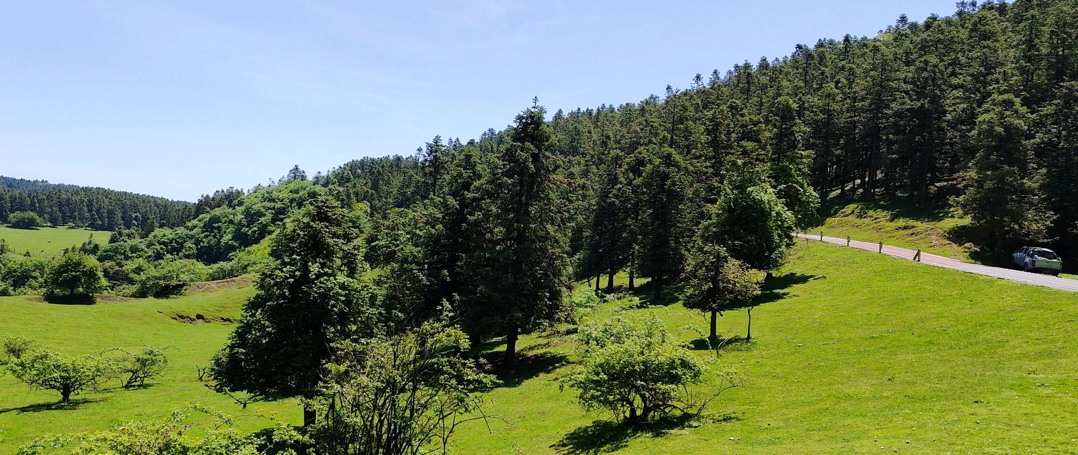 【旅游天地•重庆武隆】诗词二首：七律•观赏仙女山大草原*词：游仙女山草原*作者：张富贵＿北京头条发！（图49）