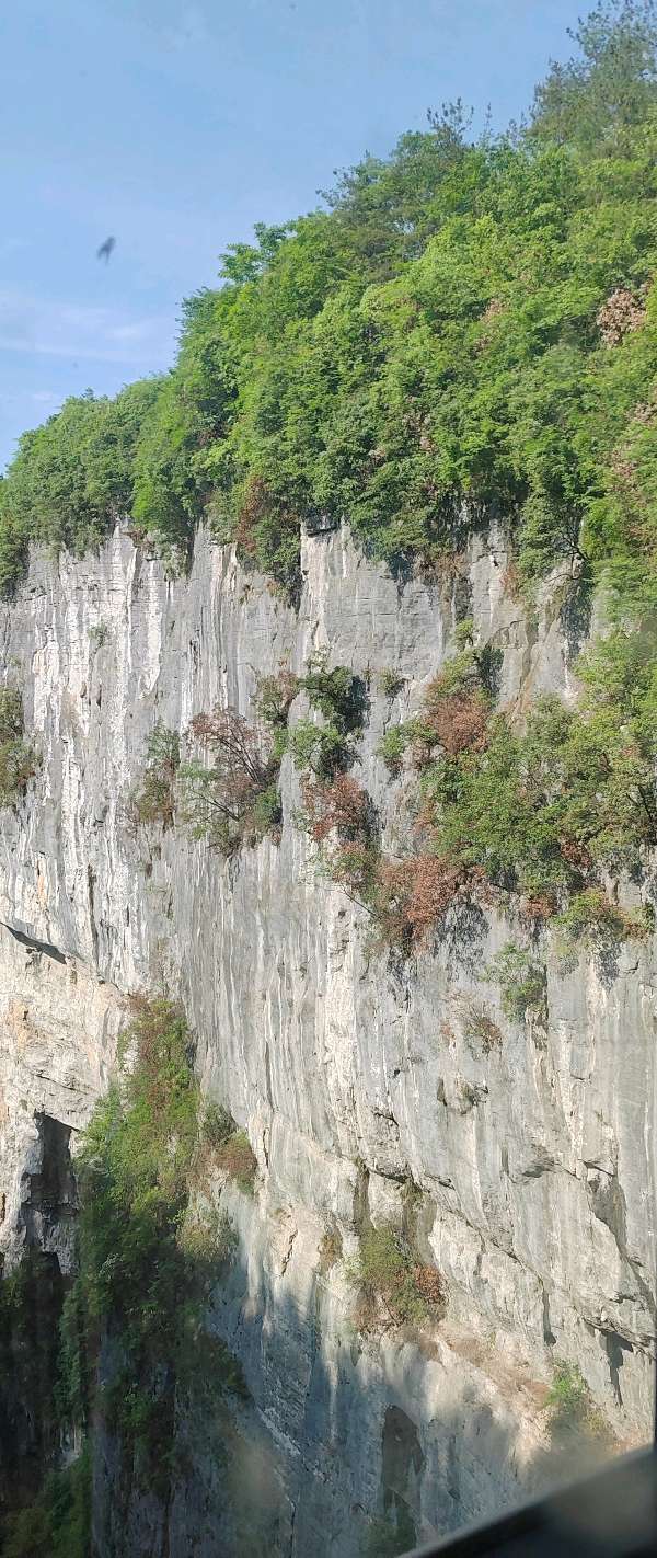 【旅游天地•重庆武隆】张富贵：七律•（藏头诗）参观武隆天生三桥有感二首*北京头条•西安头条•都市头条（图8）