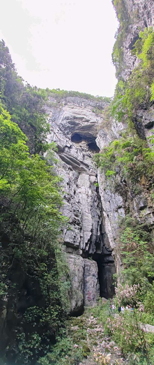 【旅游天地•重庆武隆】张富贵：七律•（藏头诗）参观武隆天生三桥有感二首*北京头条•西安头条•都市头条（图63）