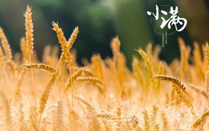 【重磅推出】鲁坡//东风浩荡正气歌｛外八首｝（图10）
