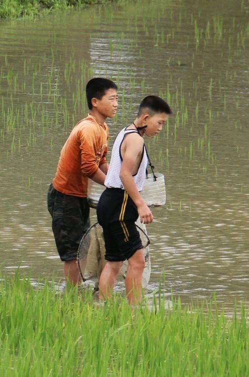 【经典推荐】潘魁//鹧鸪天•忆少年（图4）