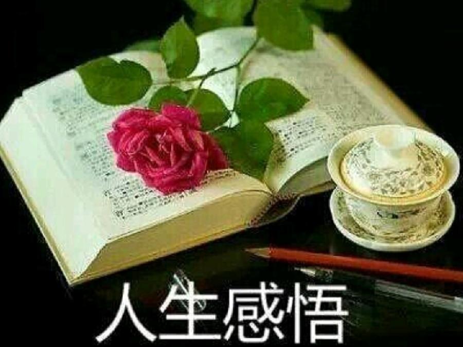 《九江文学社：北京头条》《名家专刊》优秀诗人书乐先生诗歌欣赏【总第1641期】（图4）
