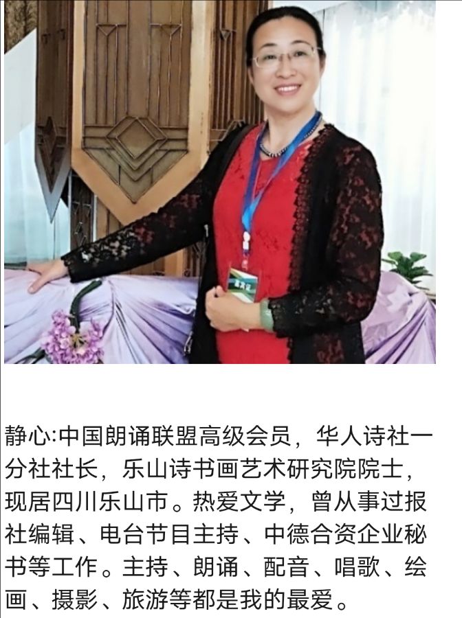 华人诗社一分社吴丰专场晚会（图3）