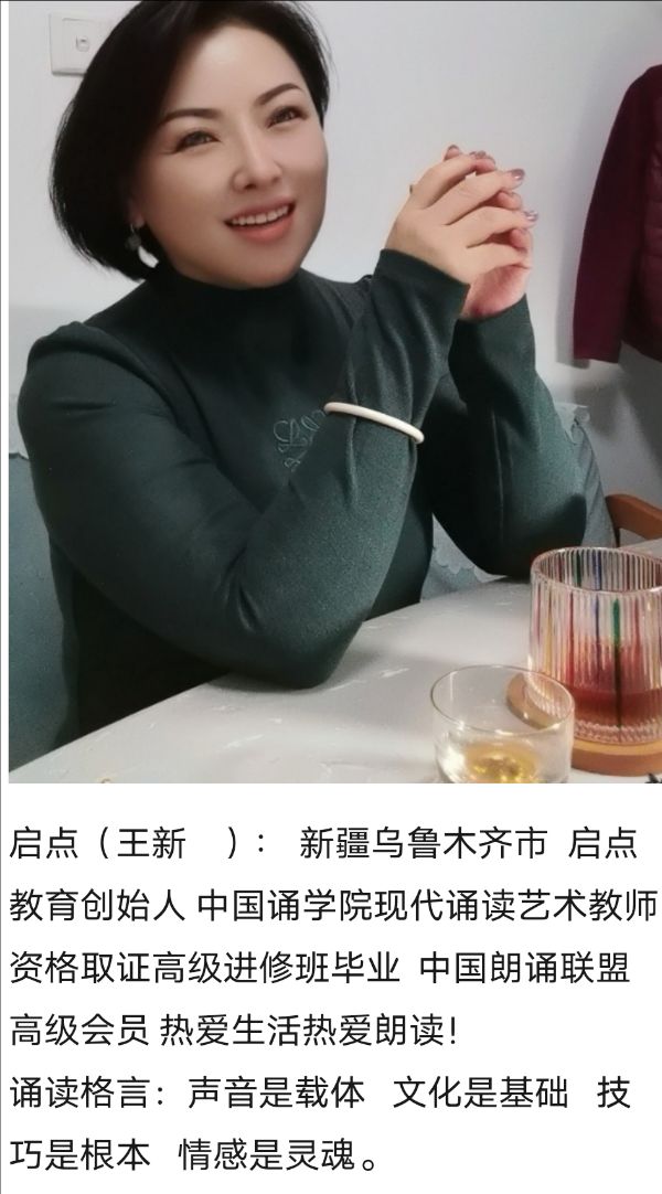 华人诗社一分社吴丰专场晚会（图9）