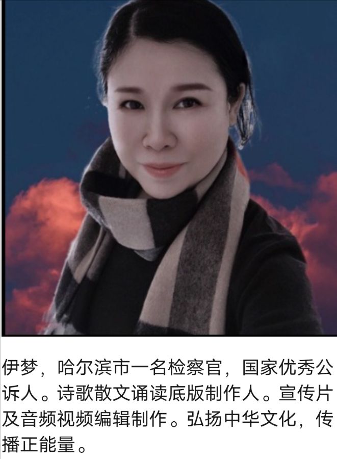 华人诗社一分社吴丰专场晚会（图11）