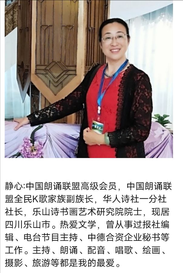 华人诗社一分社吴丰专场晚会（图37）