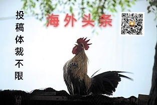 海外头条／脏话不得不说 ‖ 作者／​邨夫