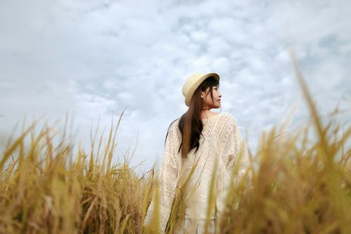 麦浪 文/安然小静（图3）
