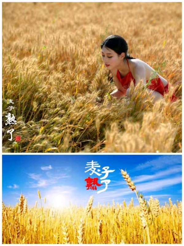 张广新的《悯农》
