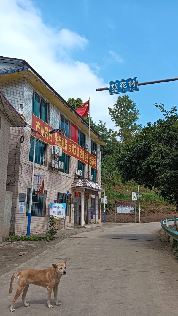【诗词中国】精品佳作《我来过土坪》（外一首）作者：绿水青山（苗族）｜朗诵：郑莺（图6）