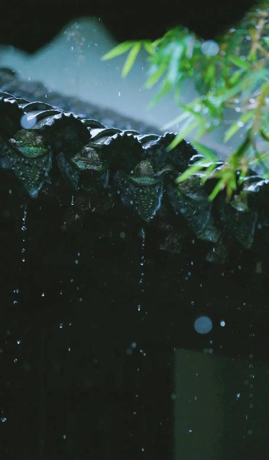 三人行｜阿丑个人专刊—北京头条（图11）