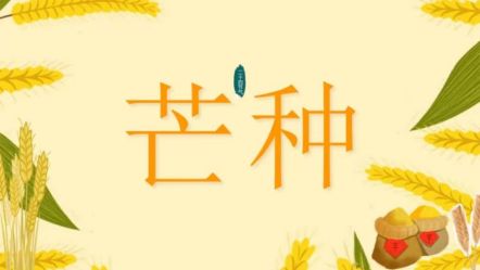 牛丽君朗诵【二十四节气系列小知识*芒种】文字整理/牛丽君（图4）