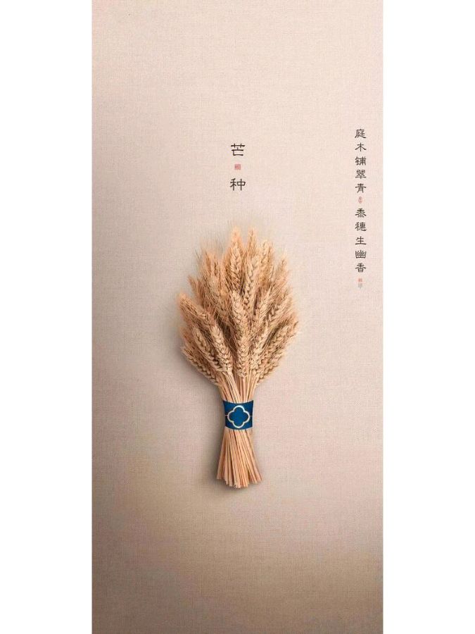 牛丽君朗诵【二十四节气系列小知识*芒种】文字整理/牛丽君（图7）