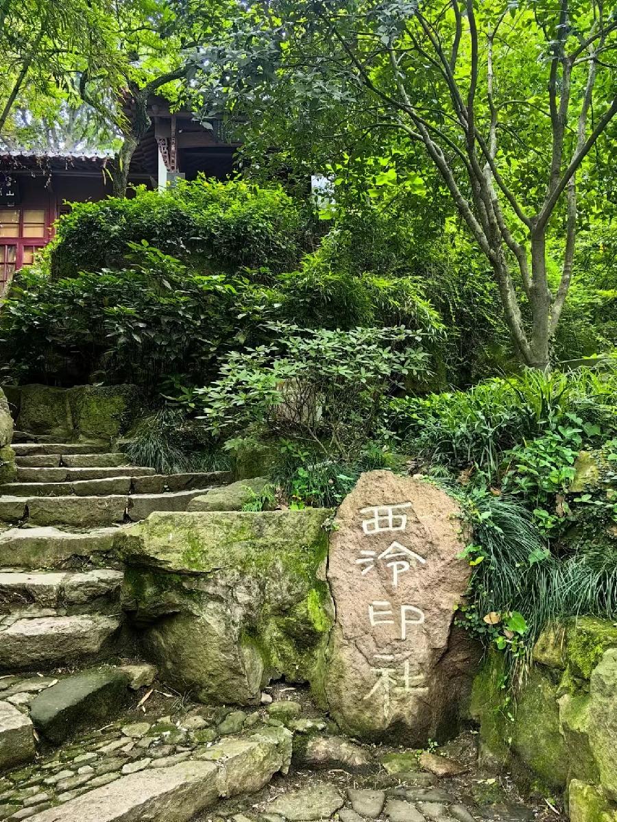 【新诗大观】孤山路31号||文/吴蕾 ||诵/文嘉(图2)