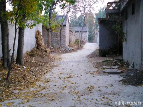 【新山东文学社】《儿时久违的村庄》作者/倪进宝 主播/星空（图3）