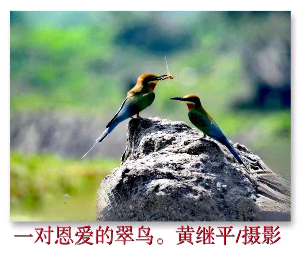 黄继平先生书法摄影专辑∥中国桂林都市漓江诗书画社(第60期)(图36)