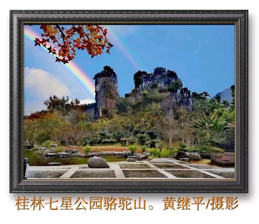 黄继平先生书法摄影专辑∥中国桂林都市漓江诗书画社(第60期)(图38)