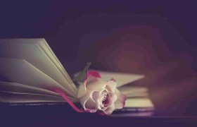 诗词小辑 柳溪拾花 〔青海〕【冰心文化传媒】（图16）