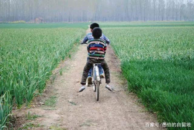 中华诗艺黑龙江分社推介/王立波游记散文:生活意趣,致发小(图5)