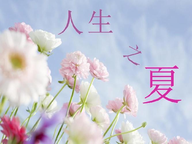【新山东文学社】《人生与四季》作者/书乐 主播/远方（图4）