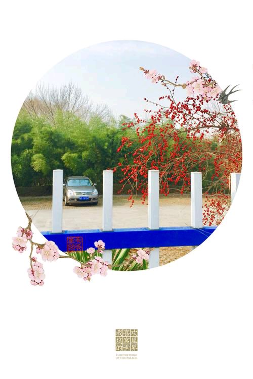 【新山东文学社】《人生与四季》作者/书乐 主播/远方（图3）