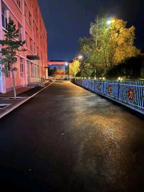 《夜行》作者:水沐【主播:燕子】【桃源国际诗歌集团】用声音传递温暖以诵读致敬人生♬（图4）