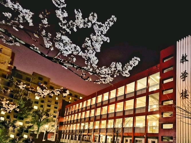 《夜行》作者:水沐【主播:燕子】【桃源国际诗歌集团】用声音传递温暖以诵读致敬人生♬（图6）