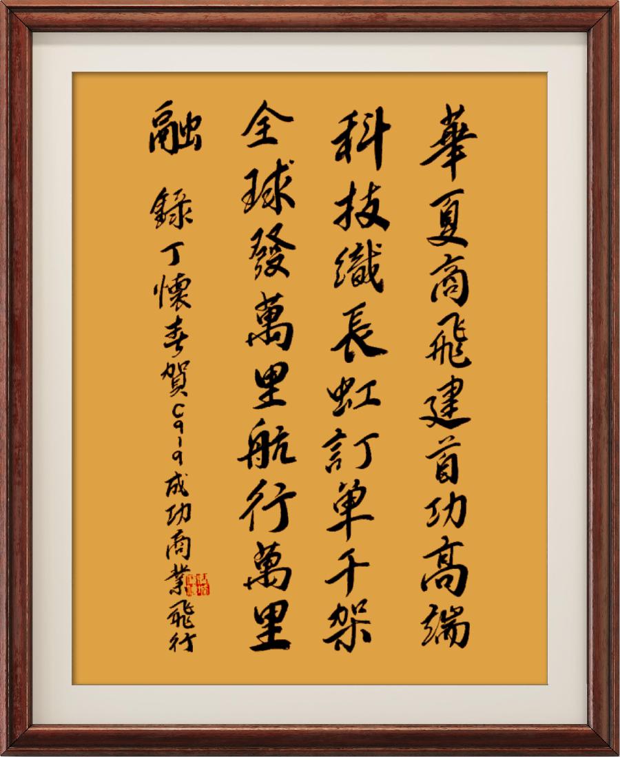 野草诗社十二(江苏)研修院014期微《祝贺东航商飞首航成功》(图43)