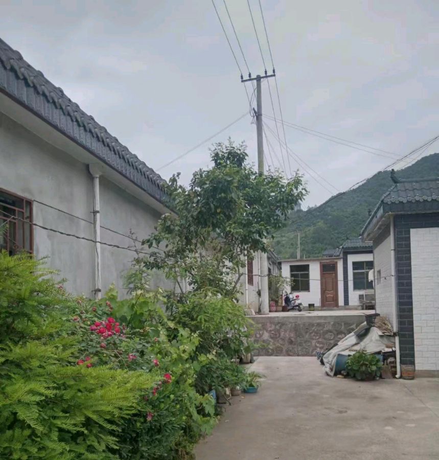 七绝小辑 作者 陇上〔陇南〕【冰心文化传媒】主编 冰心（图7）