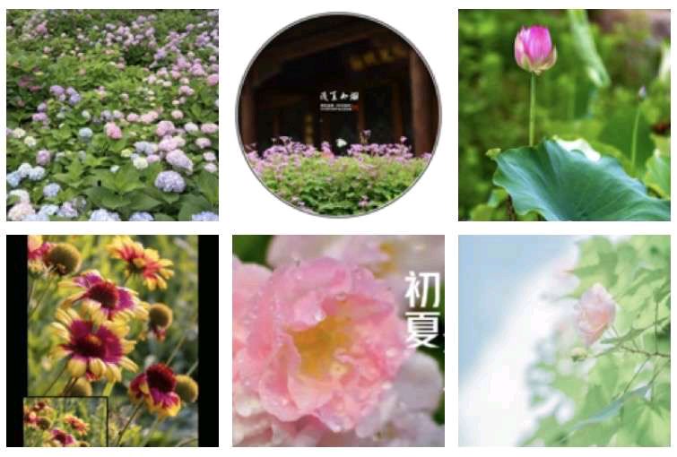 诗词专辑 作者 风鸽（张晓峰）【冰心文化传媒】主编 冰心（图9）