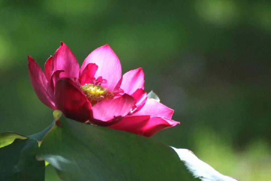 儿童节颂（组诗）文/墨竹（图7）