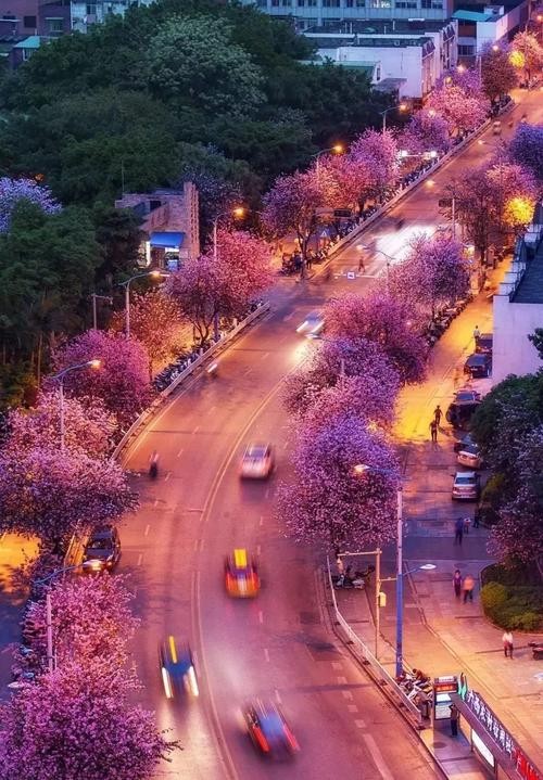 【经典推荐】听月//那年的夏季 花开又满城（图2）