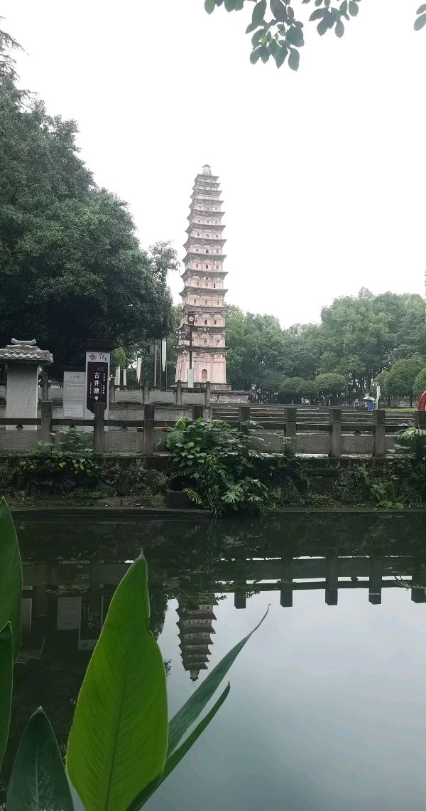 中华诗艺黑龙江分社微刊第101期(图29)